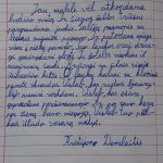 Sauliaus_dailyraštis_4kl.